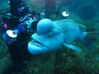 DIVING SCHOOL エス・ワァルド