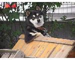 笑い部屋