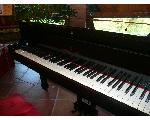 I love piano!