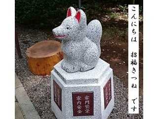 三軒地稲荷神社　招福きつね　茨城県取手市