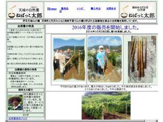 自然薯ーねばっこ太郎