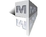 初心者が株を始めちゃった・・・。