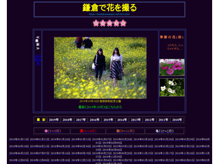 鎌倉で花を撮る