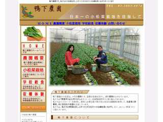 小松菜日本一を目指す鴨下農園