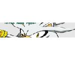 -Free Home Page-