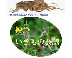神戸いきもの会議
