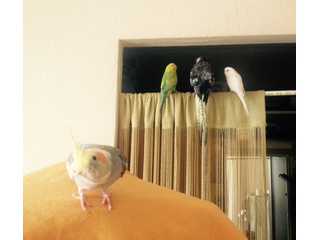 こちみんの部屋