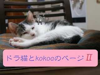 ドラ猫とkokoaのページ?