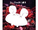 熊大生協PCスキルアップ講座2014年度