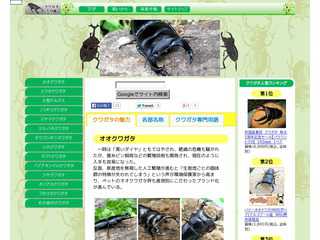 クワガタ大図鑑
