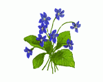 Labradorica