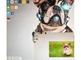 puppy linux8.0　bionicの日本語化日本語入力　非正規