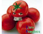 L'oro Pomodoro　公式HP