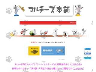 マルチーズ グッズ本舗