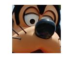 ?　Disney Life　／
