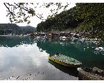 又兵衛（釣り魚販売）