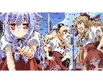 迷い猫トレント同好会