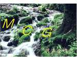 MCG 男声合唱団