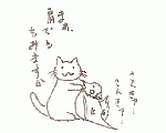 みかん☆かんかん