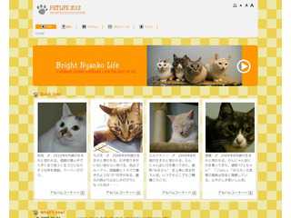 木村家のにゃんこ達