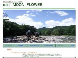mini moonflower
