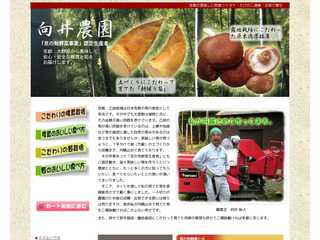 京都の美味しい肉厚椎茸・筍の通販　向井農園