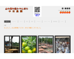 中田みかん農園