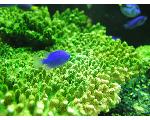 熱帯魚の飼育方法 NATURE SUN