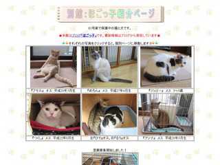 別館･保護猫里親募集中