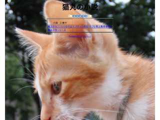 猫丸の安らぎ