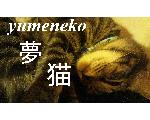 猫fan-猫選び、飼い方、猫グッズならここ-