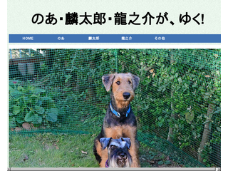 のあ、麟太郎、龍之介が、ゆく！