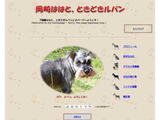 岡崎ははと、ときどきルパン