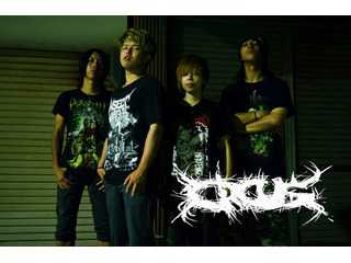 ORCUS OFFICIALWEBSITE