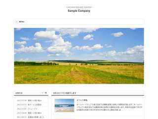 「親」への道・・・不妊治療の記録