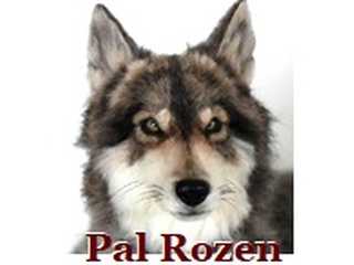 Pal Rozen