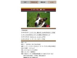 コーギーパル