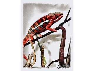 PEACEreptiles