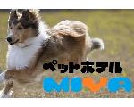 ペットホテルMIYA