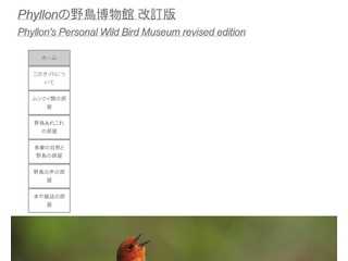 Phyllonの野鳥博物館