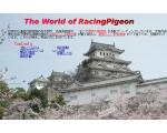 鳩の世界