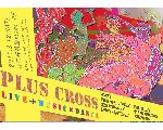 PLUS CROSS PROJECT