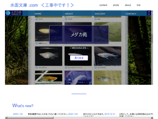 水面文庫 .com