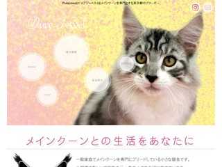 メインクーン専門ブリーダー【PureJewel】