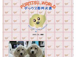 ダックスフンド専門犬舎　PURITTSU WORLD