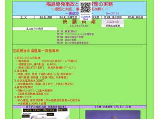 福島原発事故と危機管理の実務―原因と対応事故調を読み解く?