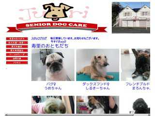 老犬介護?寿里?
