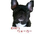 RYOKTIウォーカー