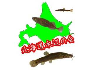 北海道の淡水魚
