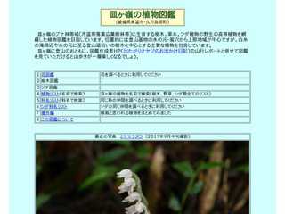 皿ヶ嶺の植物図鑑